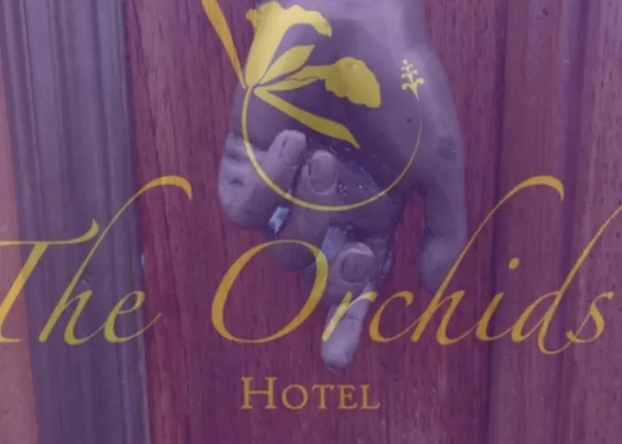 The Orchids